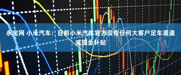 永宝网 小米汽车：目前小米汽车官方没有任何大客户定车渠道或现金补贴