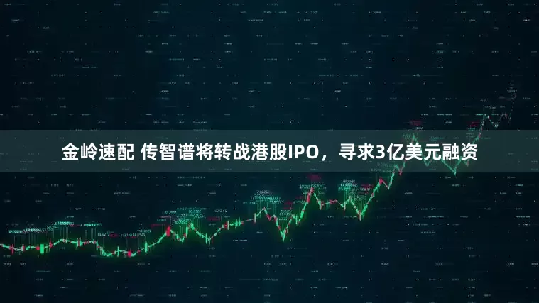 金岭速配 传智谱将转战港股IPO，寻求3亿美元融资
