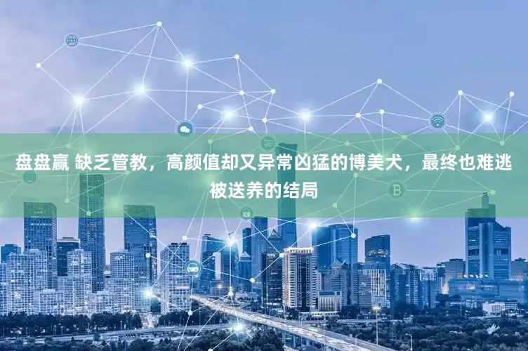 盘盘赢 缺乏管教，高颜值却又异常凶猛的博美犬，最终也难逃被送养的结局