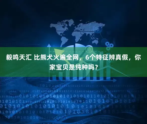 毅鸣天汇 比熊犬火遍全网，6个特征辨真假，你家宝贝是纯种吗？
