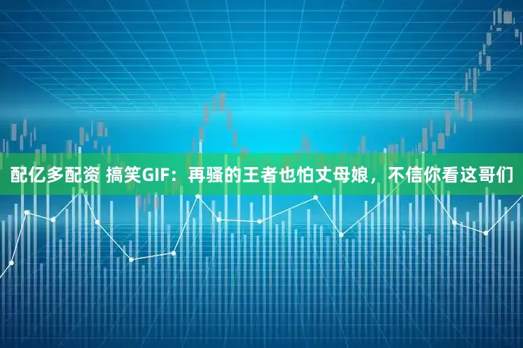 配亿多配资 搞笑GIF：再骚的王者也怕丈母娘，不信你看这哥们
